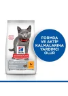 SCIENCE PLAN Kısırlaştırılmış Tavuklu Yavru Kedi Maması 1.5 kg