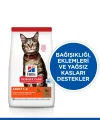 SCIENCE PLAN Yetişkin Kuzulu Kedi Maması 8+2 kg