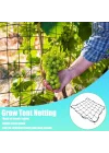Scrog file, bitki yetiştirme ağı, (150 x 150 cm) elastik kafes ağı, 6 kancalı, elastik ağ kafesi, bitki yetiştirme çadırı, iç mekan bitkisi, hidroponik yetiştirme odası, elastik file