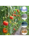 Scrog file, bitki yetiştirme ağı, (150 x 150 cm) elastik kafes ağı, 6 kancalı, elastik ağ kafesi, bitki yetiştirme çadırı, iç mekan bitkisi, hidroponik yetiştirme odası, elastik file