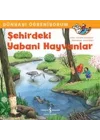 Şehirdeki Yabani Hayvanlar - Dünyayı Öğreniyorum