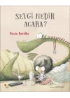Sevgi Nedir Acaba?