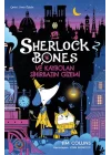 Sherlock Bones ve Kaybolan Sihirbazın Gizemi