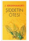 Şiddetin Ötesi