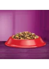Sığırlı Kuru Mama 14 KG