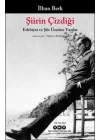 Şiirin Çizdiği - Edebiyat Ve Şiir Üzerine Yazılar