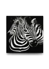 Siyah Beyaz Zebra Tablosu - 60x60cm
