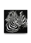 Siyah Beyaz Zebra Tablosu - 60x60cm