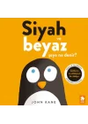 Siyah ve Beyaz Şeye Ne Denir?