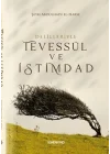 Siyasetname