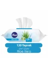 Sleepy Aloe Vera Islak Havlu 120 Yaprak