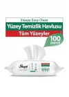 Sleepy Easy Clean Yüzey Temizlik Havlusu 100 Yaprak