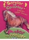 Sorular Ve Cevaplar Kart Atlar Ve Poniler