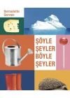 Şöyle Şeyler Böyle Şeyler