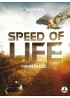 Speed Of Life - Hayatın Hızı