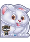 Tavşan - Hayvanları Tanıyalım