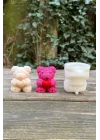 Teddy Bear Gül Dokulu Küçük Tekli Mum Kalıbı