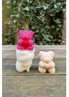 Teddy Bear Gül Dokulu Küçük Tekli Mum Kalıbı