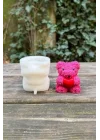 Teddy Bear Gül Dokulu Küçük Tekli Mum Kalıbı