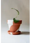 Terracotta Konik Saksı+Tabak • Bohem Beyaz (Orta)