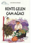 Tomurcuk 4-Kente Gelen Çam Ağacı