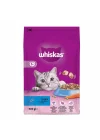 Ton Balıklı Kuru Mama 300 G