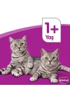 Ton Balıklı Kuru Mama 300 G