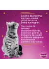 Ton Balıklı Poşet Yaş Mama 85 G Tekli Paket