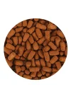 Tropical Soft Line Monster Fish Kovadan Bölme 100gr