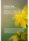 TTO Kantaron Yağı 10 Ml – Doğal Onarıcı & Cilt Yenileyici Bitkisel Yağ