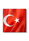 Türk Bayrağı Tablosu 100 x 100