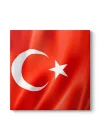 Türk Bayrağı Tablosu 100 x 100