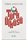 Türk Ülküsü