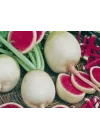 Turp Çin Tohumu - Aksel 10 gr