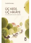 Üç Kedi Üç Hikaye
