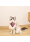 URBAN STYLE JAZZ STRIPES BANDANA COLLAR (S)