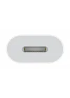 USB-C - Lightning Adaptörü ​​​​​​​