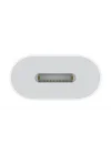 USB-C - Lightning Adaptörü ​​​​​​​