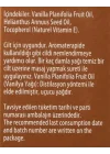 Vanilya Yağı 20 ml