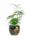 Vive Siyah Metal Saksı S 15X12 Cm