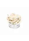 Wedding 150 ml Şakayık Taşlı Whıte Jasmıne Oda Kokusu