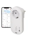 Wifi Özellikli Zaman Ayarlı Ses Kontrollü Akıllı Priz, Standart