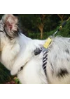 WILD SAFARI HARNESS (L)