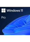 Windows 11 Pro HAV-00159 TR 64Bit Kutulu İşletim Sistemi