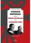 Yaban Çilekleri - Aynadaki Gibi