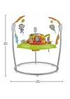 Yağmur Ormanı Jumperoo, 6-12 aylık, CHM91