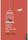 Yanlış Giden Bir Şeyler Var