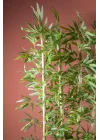 YAPAY ÇİÇEKÇİNİZ 170 Cm Bambu Seperatör