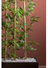YAPAY ÇİÇEKÇİNİZ 170 Cm Bambu Seperatör