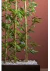YAPAY ÇİÇEKÇİNİZ 170 Cm Bambu Seperatör